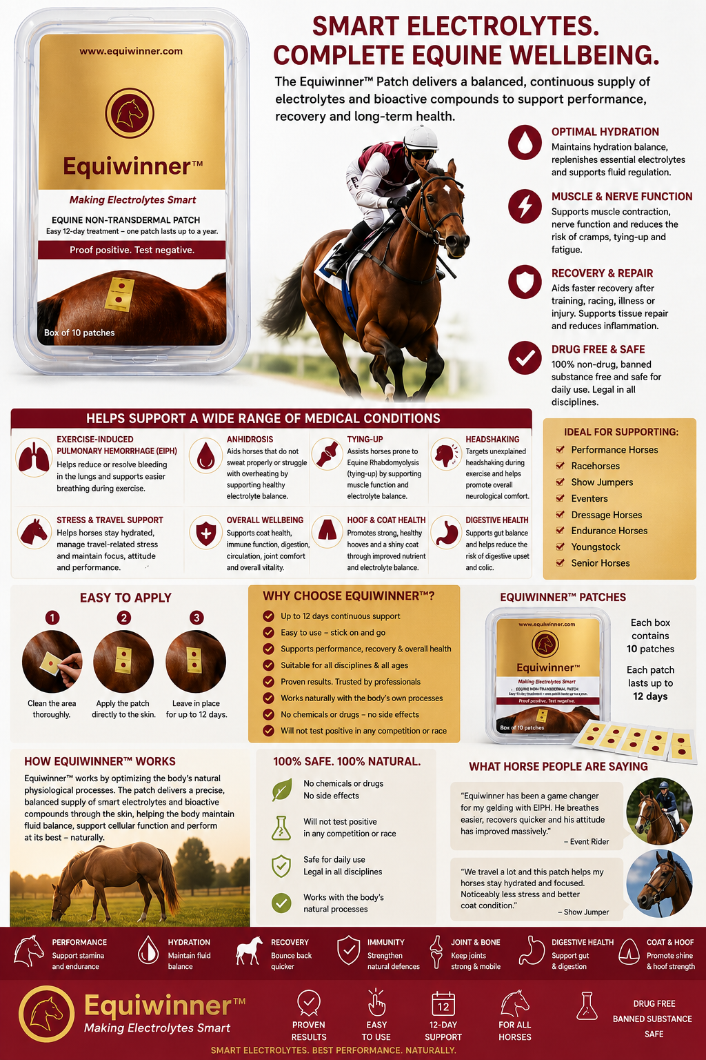 Equiwinner™ 10 Day Equine Electrolytes Treatment Patch